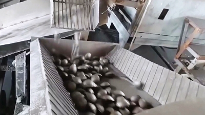 Ferro Silicon Powder Briquetting Machine